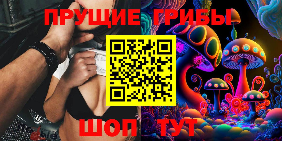Псилоцибиновые грибы Psilocybe Осинники