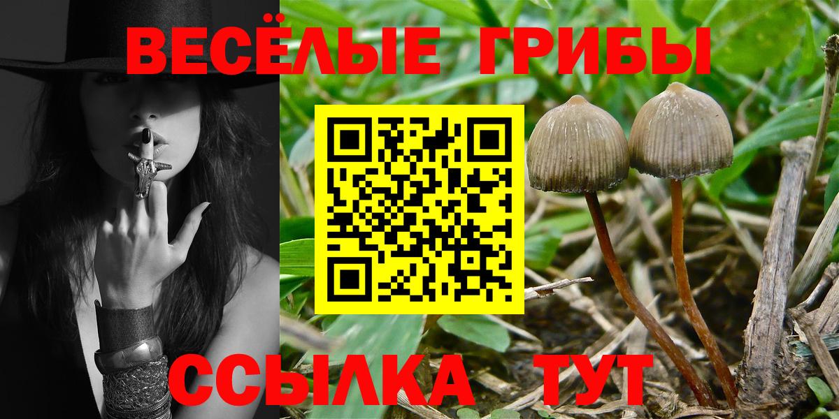 Осинники  Галлюциногенные грибы мухоморы  Вход с VPN 